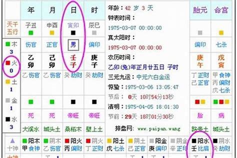 八字命盤五行|生辰八字算命、五行喜用神查詢（免費測算）